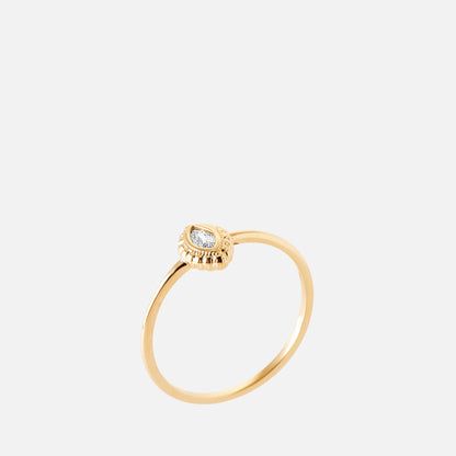 Carina Constellation Ring