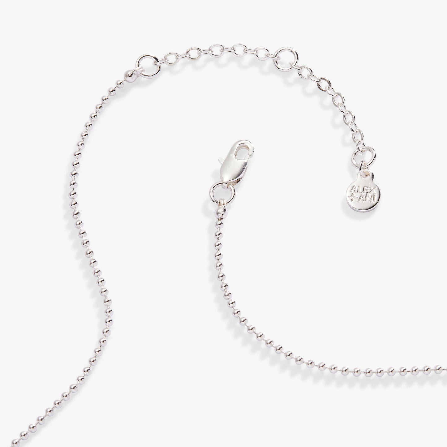 Capricorn Zodiac Double-Sided Charm Necklace