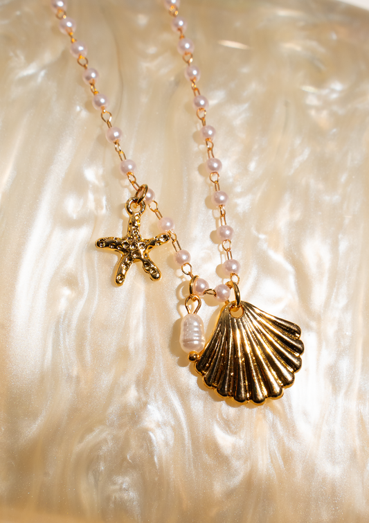 SEASHELL Charm Necklace
