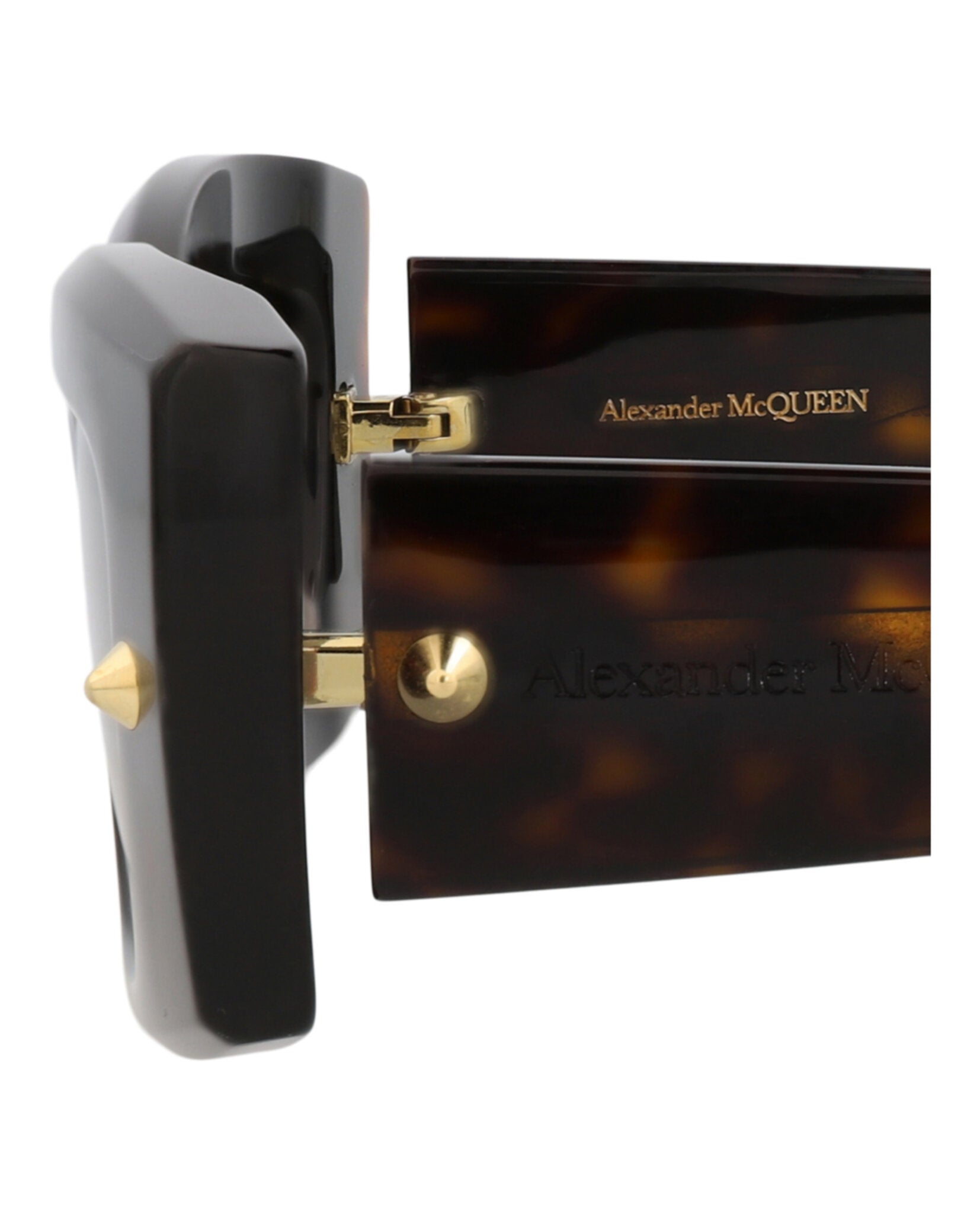 Havana Havana Brown-