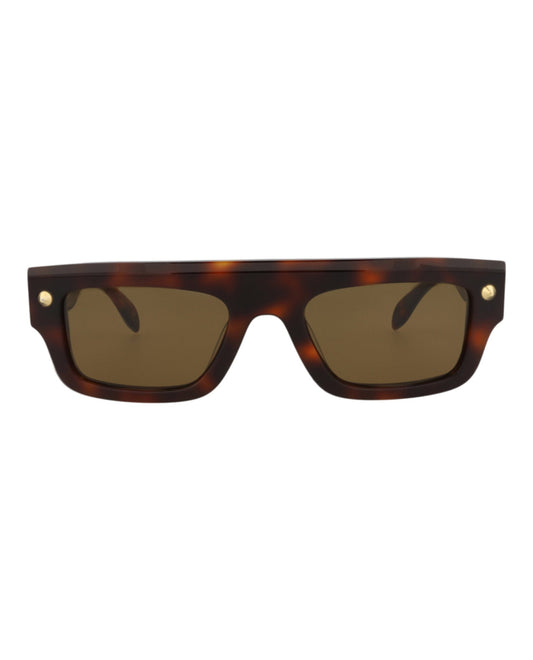 Havana Havana Brown-