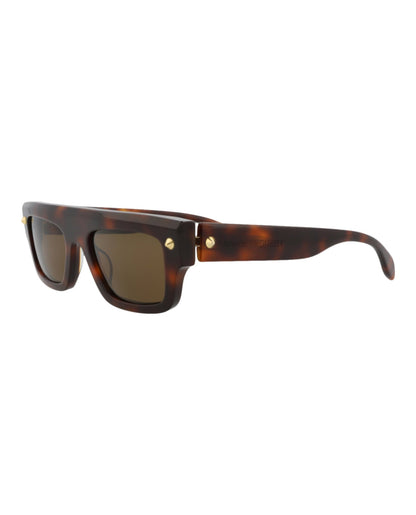 Havana Havana Brown-