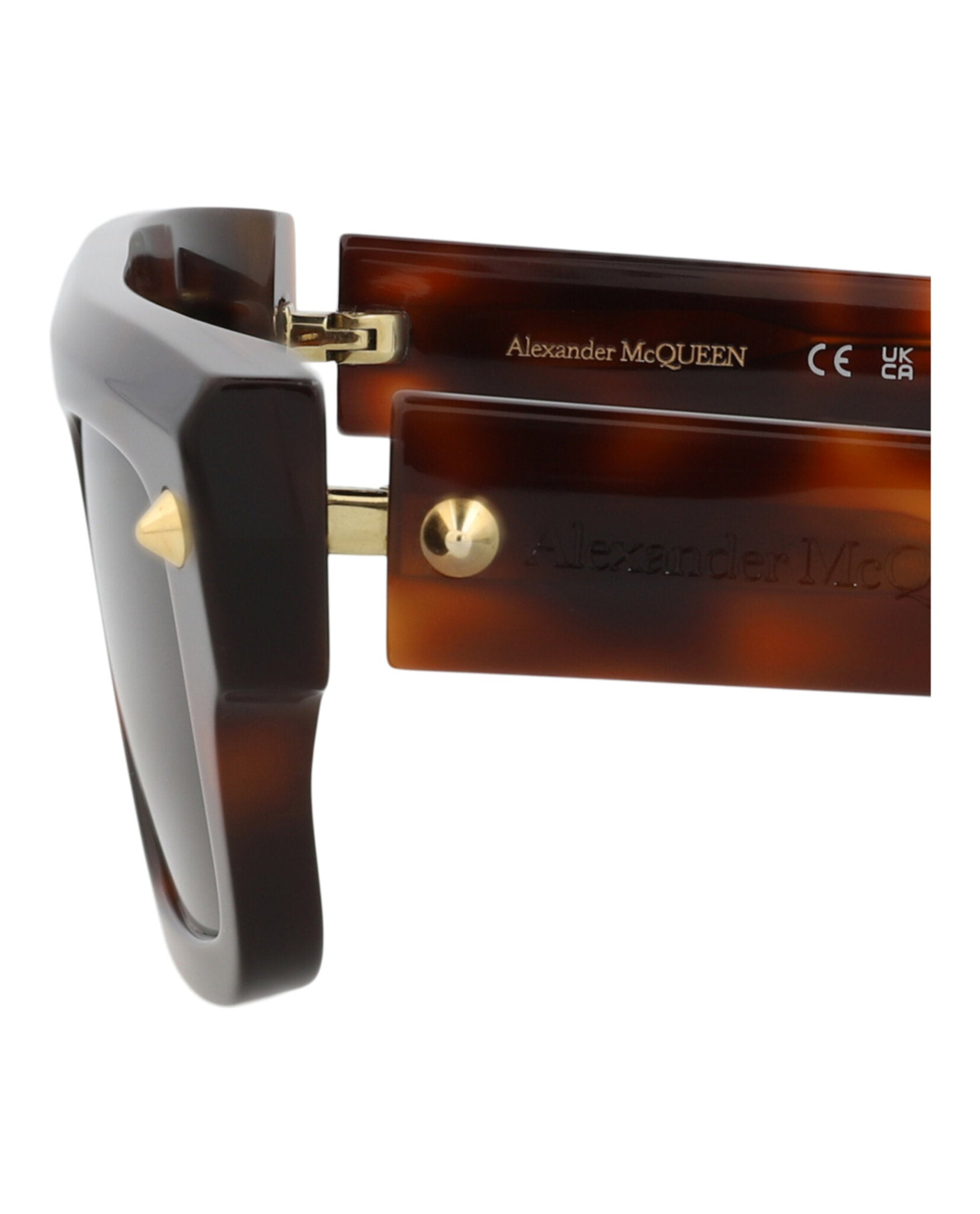 Havana Havana Brown-