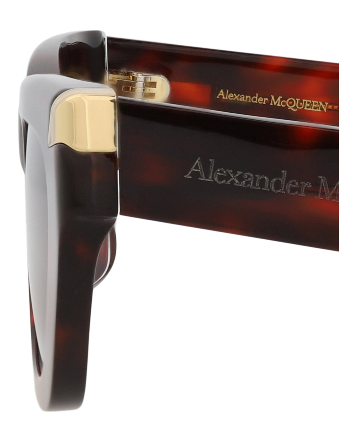 Havana Havana Brown-