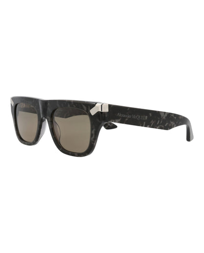 Havana Havana Brown-