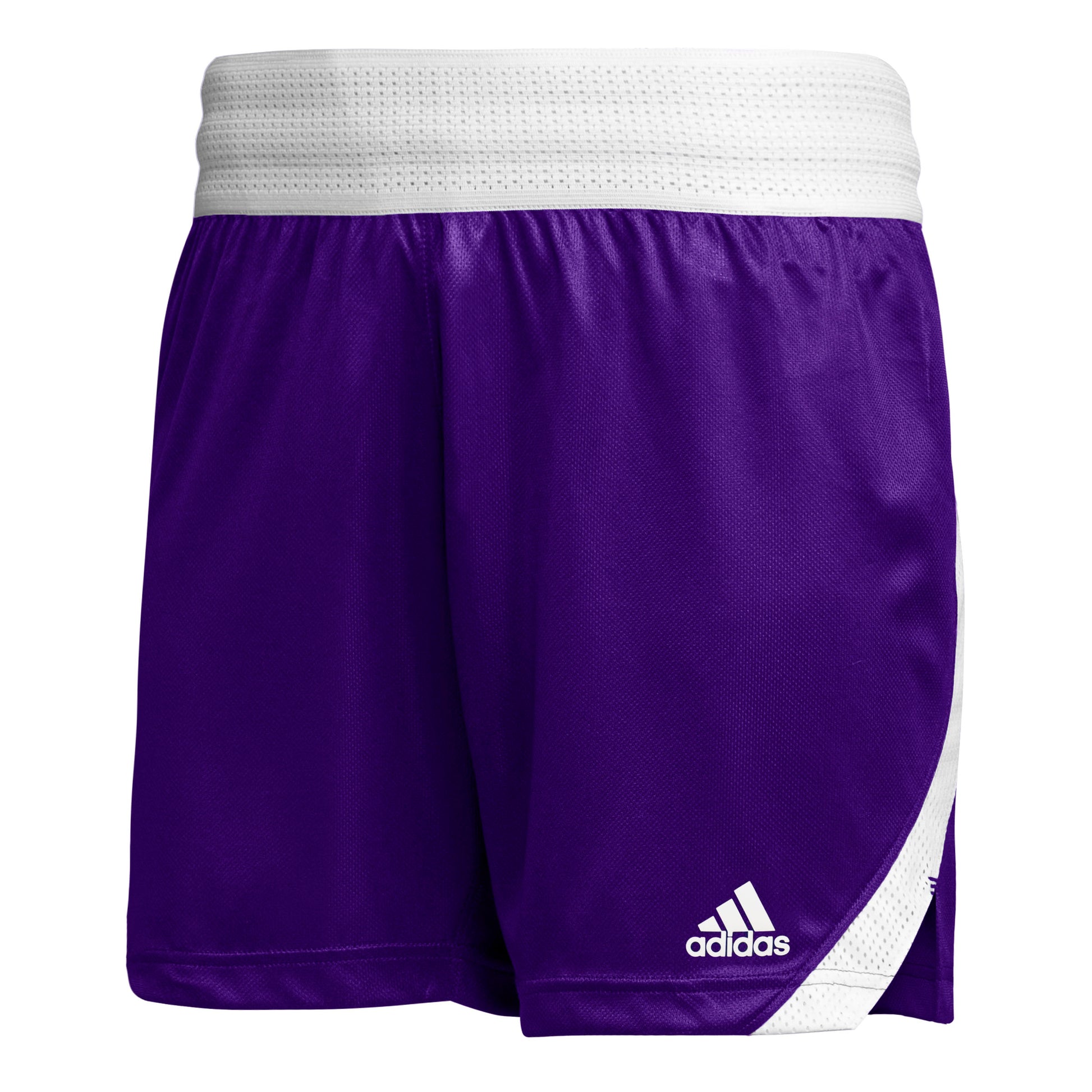 Team Collegiate Purple-