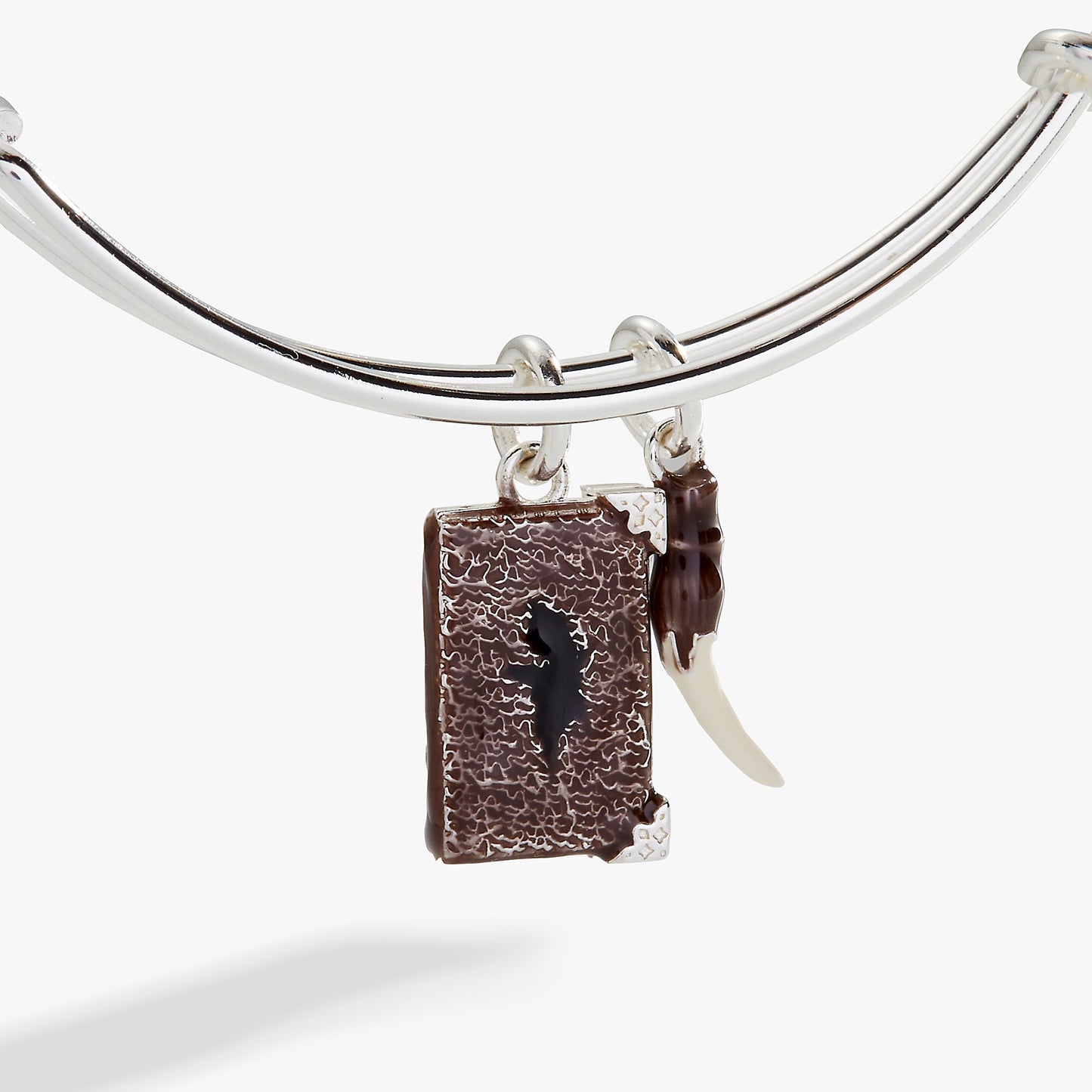 Harry Potter™ Diary and Basilisk Fang Bangle