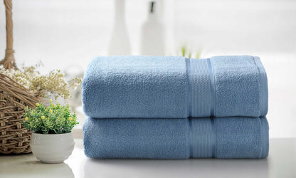 Kathy Ireland 2 Piece Zero Twist Cotton Plush Bath Sheet Set by Bed Bath Fashions