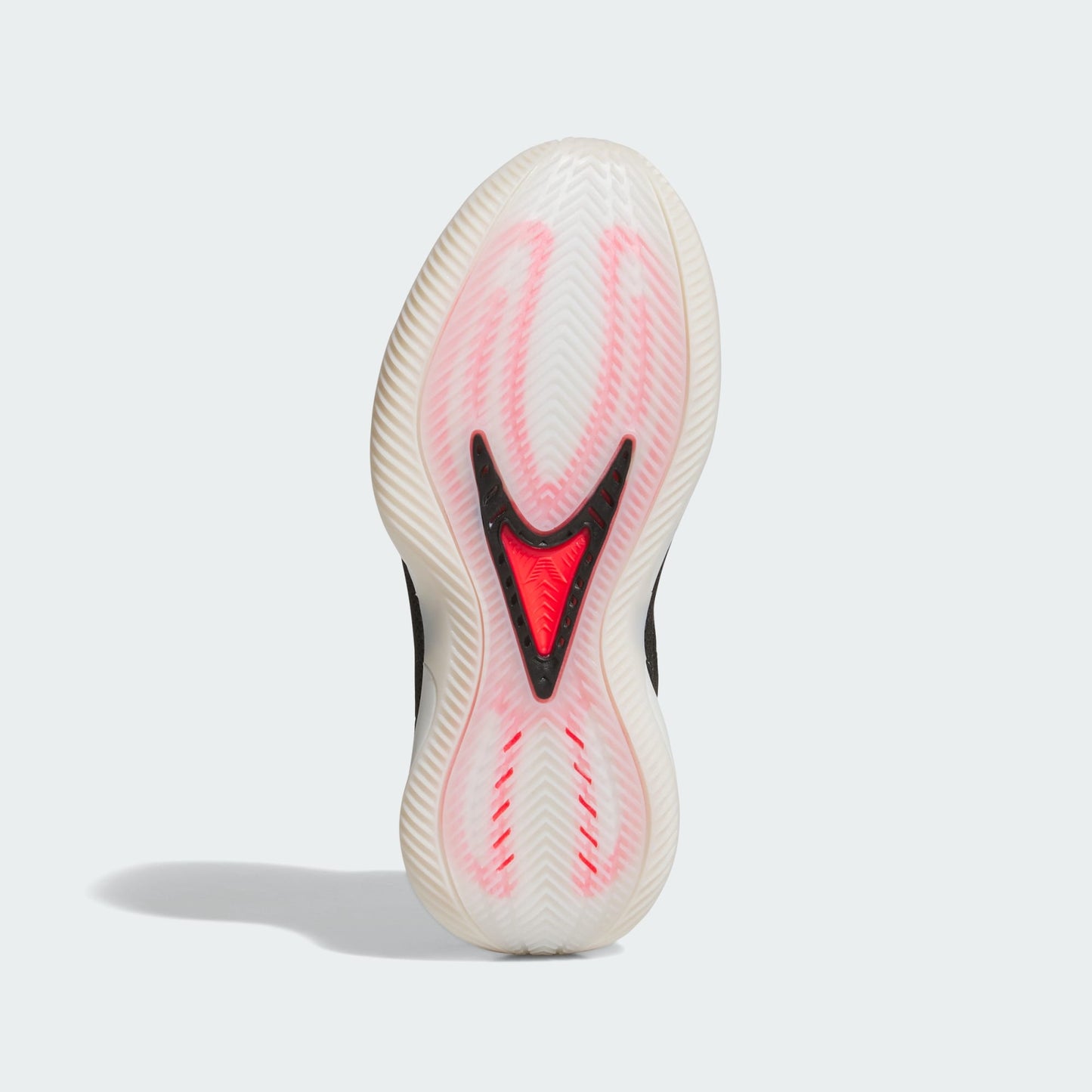 Youth adidas Anthony Edwards 2 J