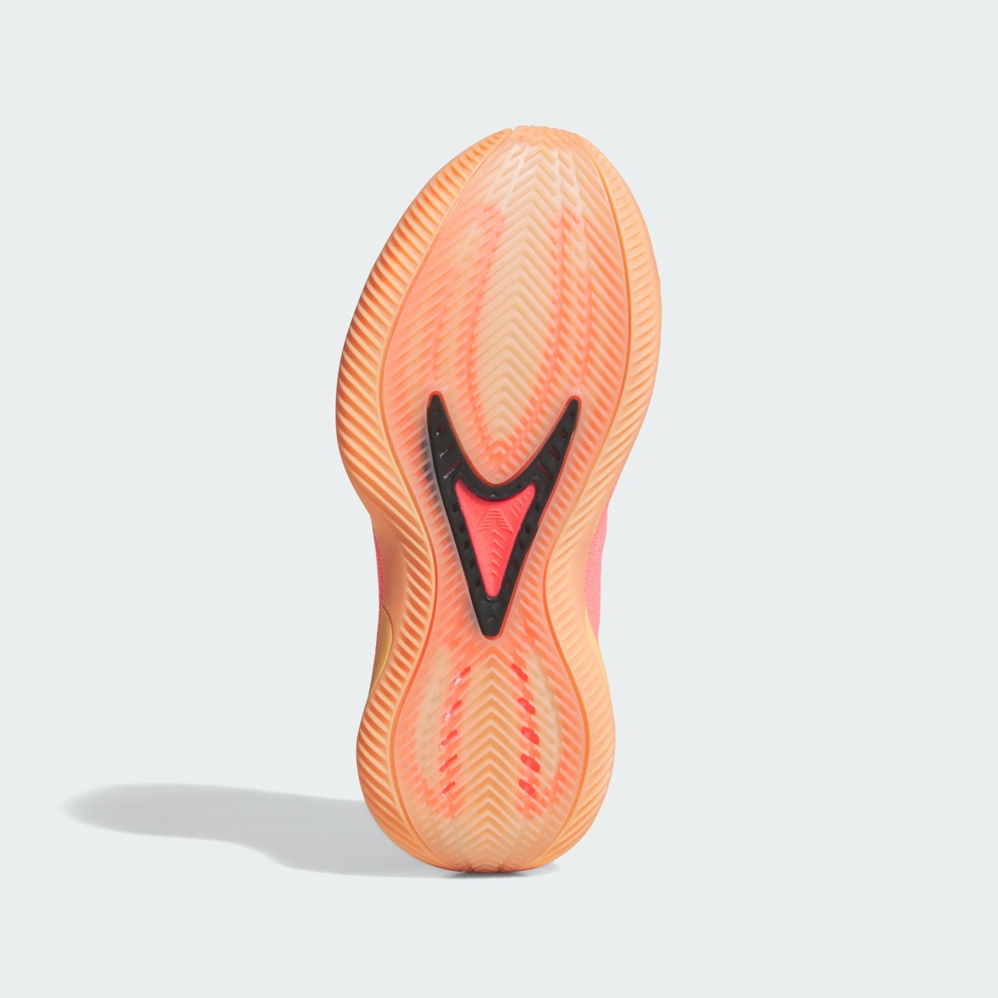 Youth adidas Anthony Edwards 2 J