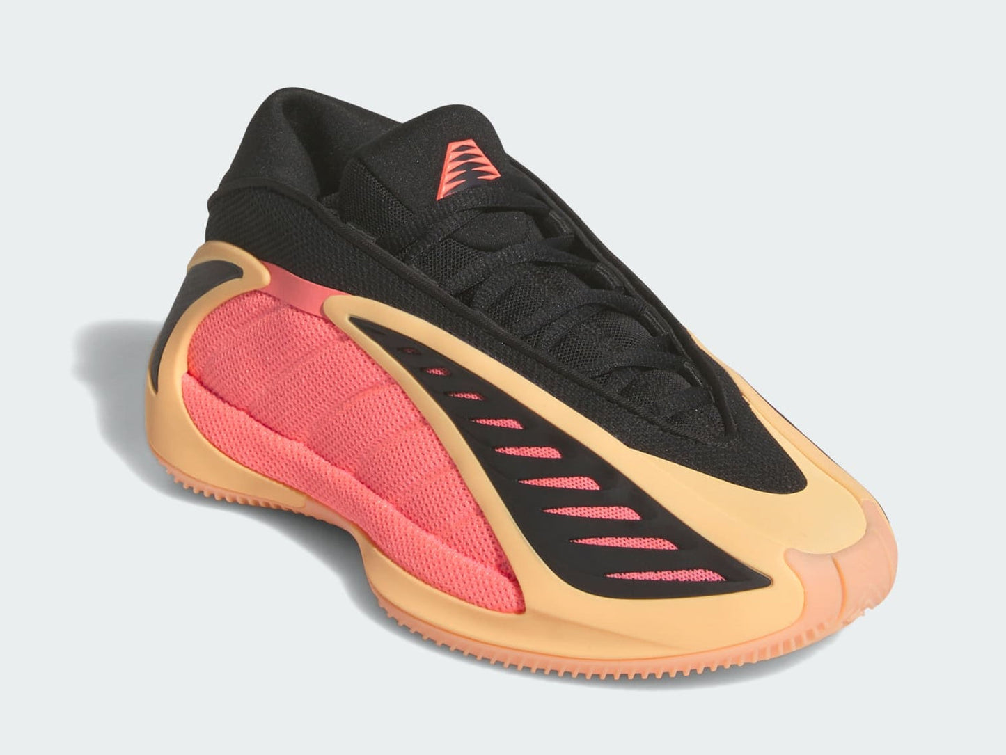 Youth adidas Anthony Edwards 2 J