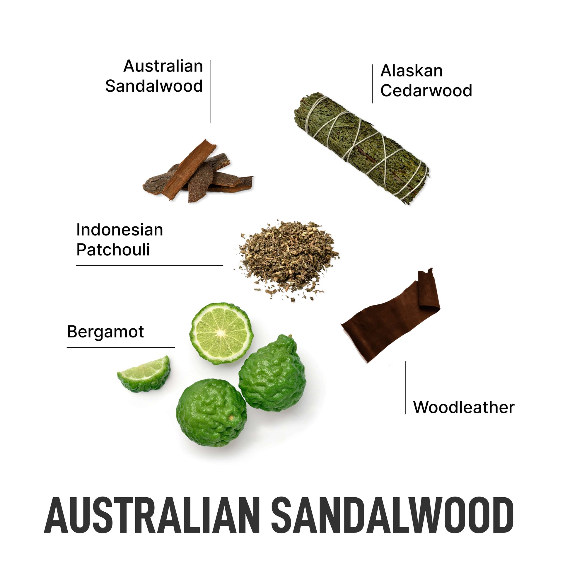 Australian Sandalwood-