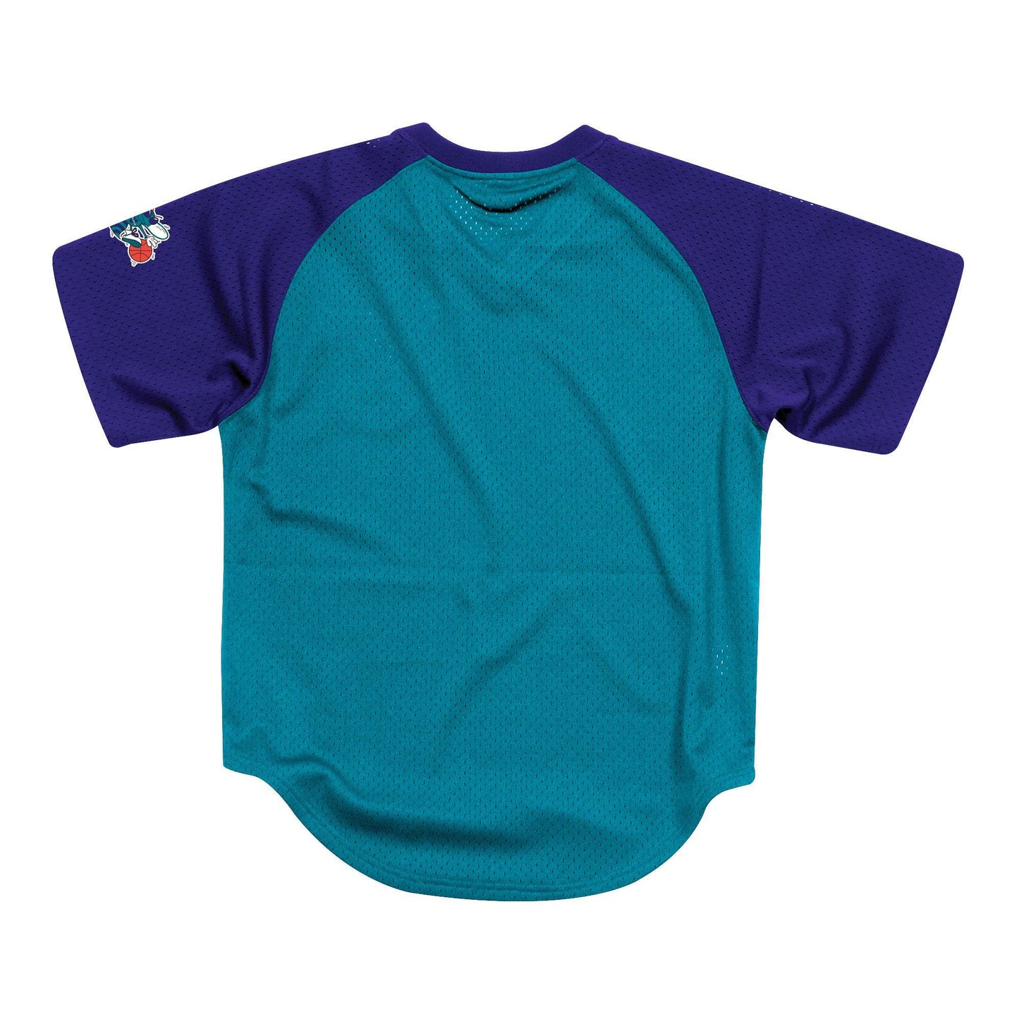 Men's Mitchell & Ness NBA Final Seconds Mesh V-Neck Hornets