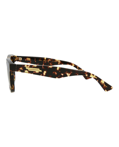 Havana Havana Brown-