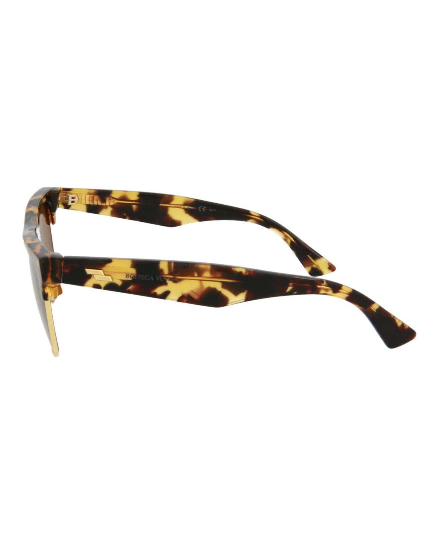 Havana Havana Brown-