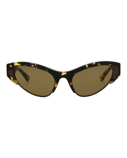 Havana Havana Brown-