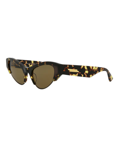 Havana Havana Brown-