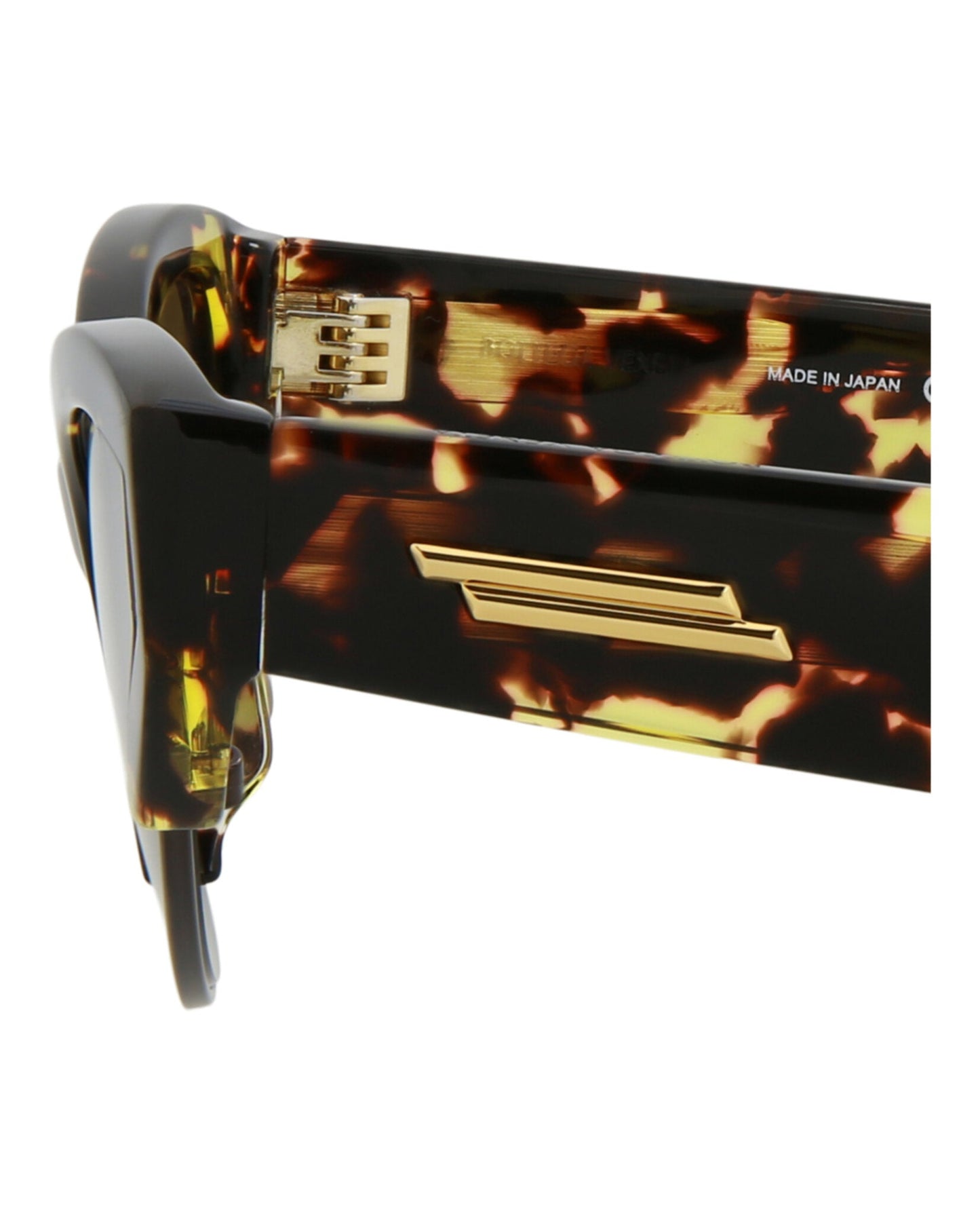 Havana Havana Brown-