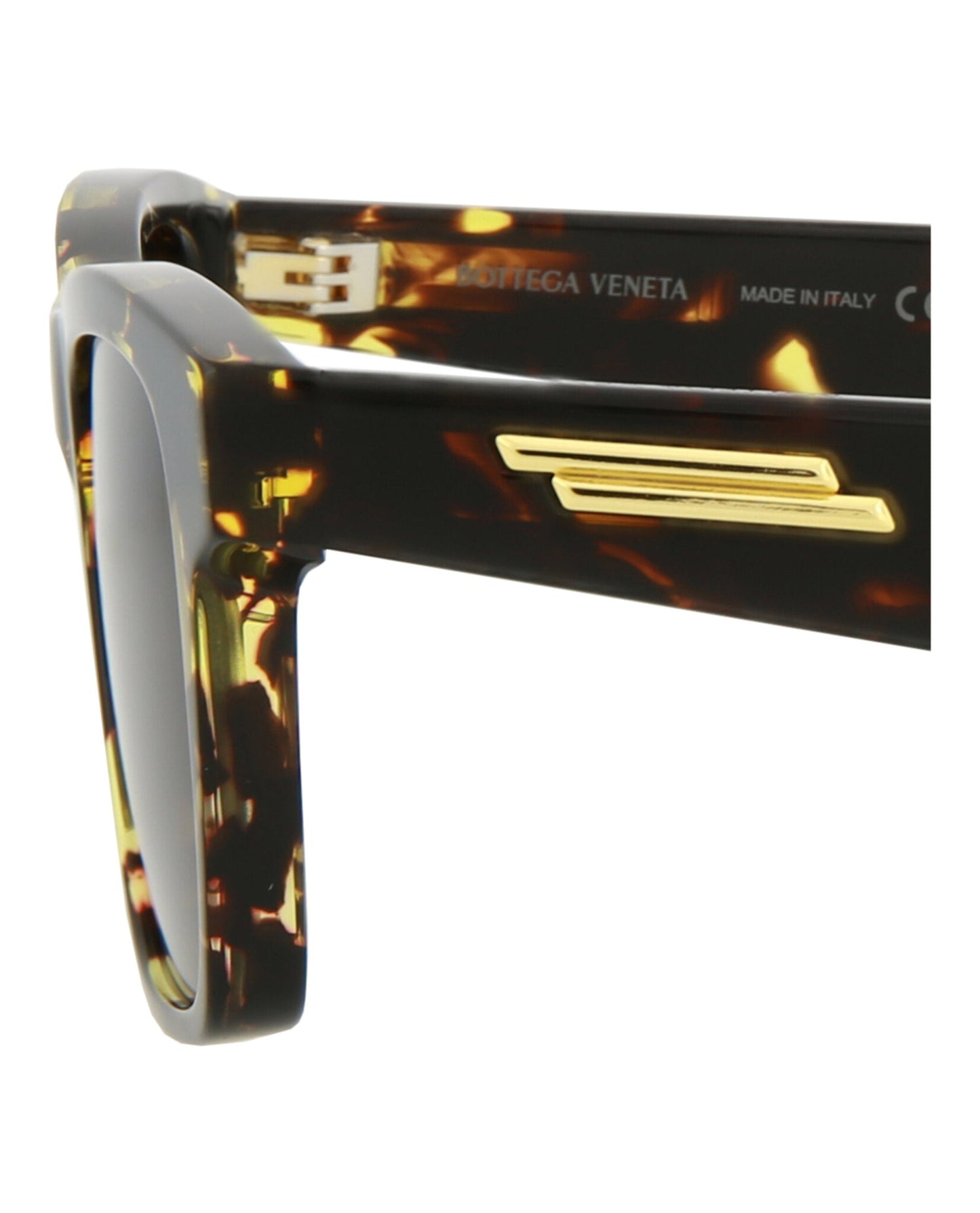 Havana Havana Brown-