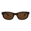 Brown Brown Brown