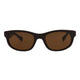 Brown Brown Brown