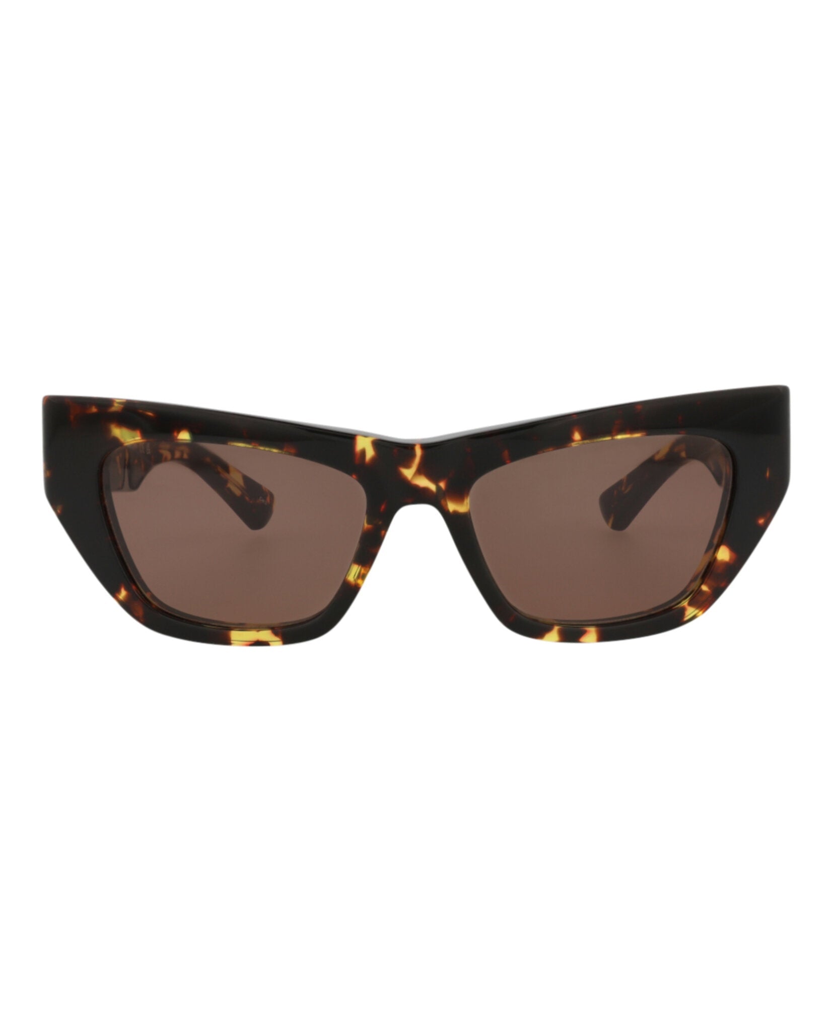 Havana Havana Brown-