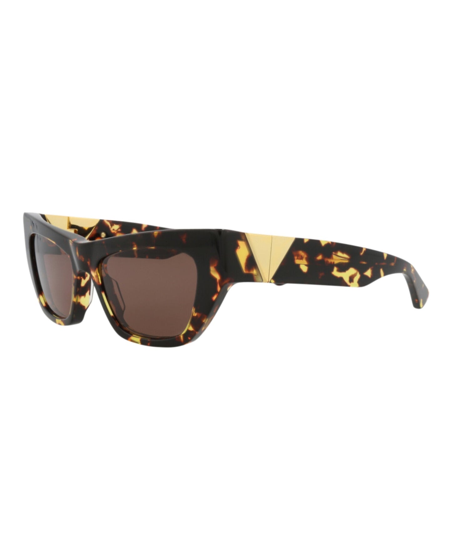 Havana Havana Brown-