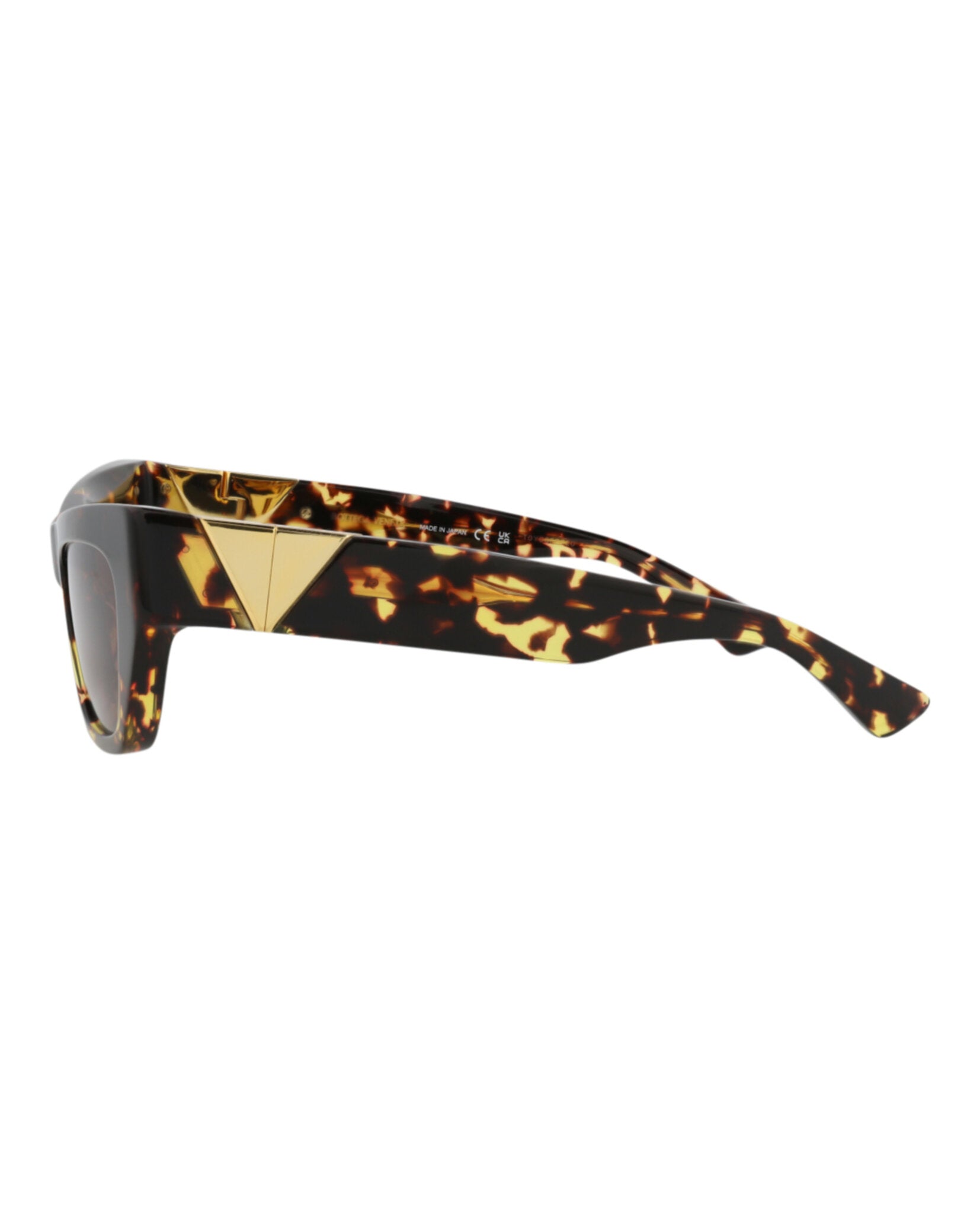 Havana Havana Brown-