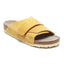 Ochre