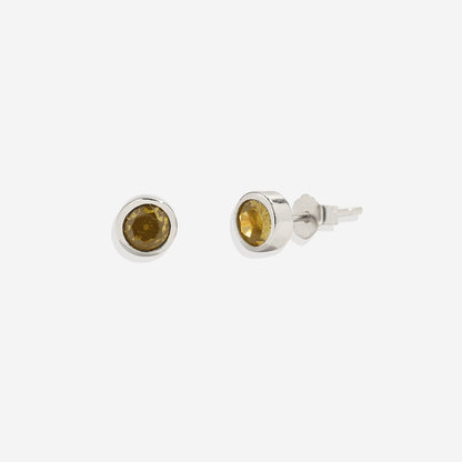 Mint & Lily Birthstone Bezel Studs