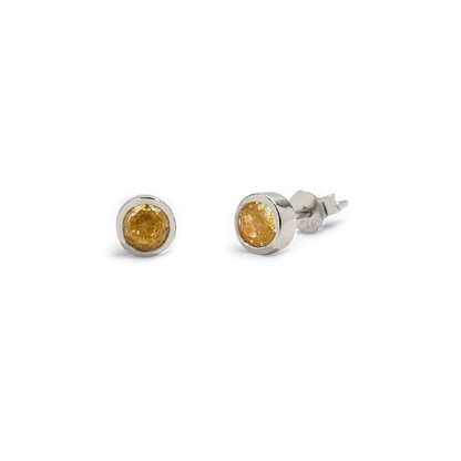 Mint & Lily Birthstone Bezel Studs