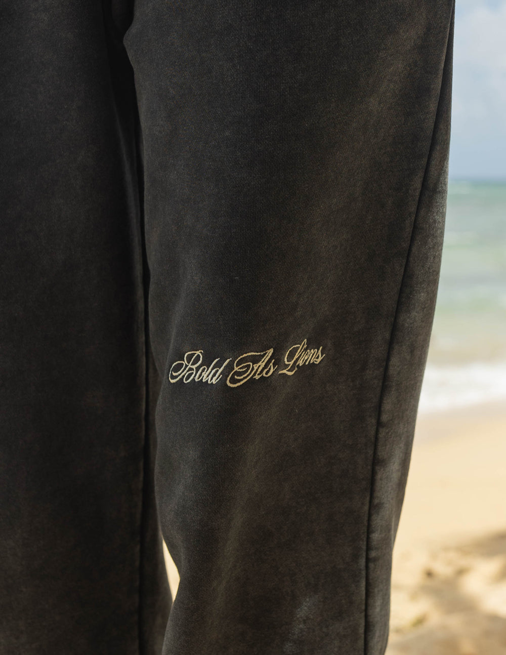 Elevated Faith Bold as Lions Unisex Sweatpant