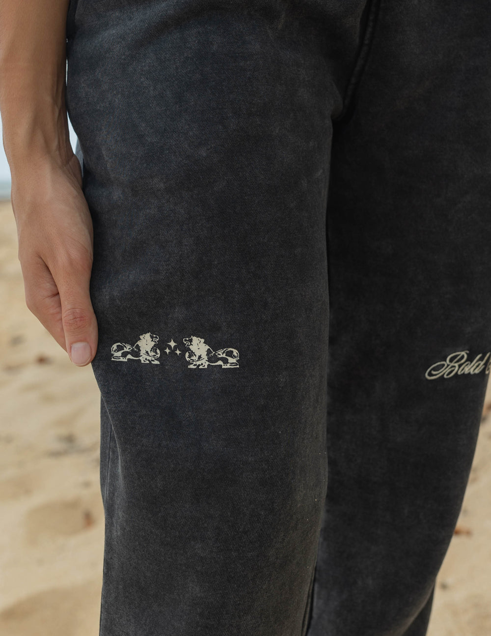 Elevated Faith Bold as Lions Unisex Sweatpant