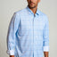 Cool Blue