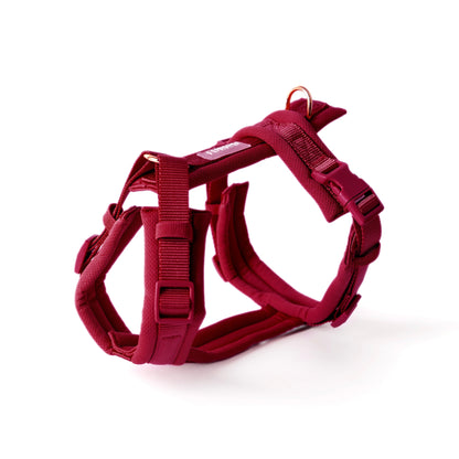 Bordeaux - Comfort Dog Harness