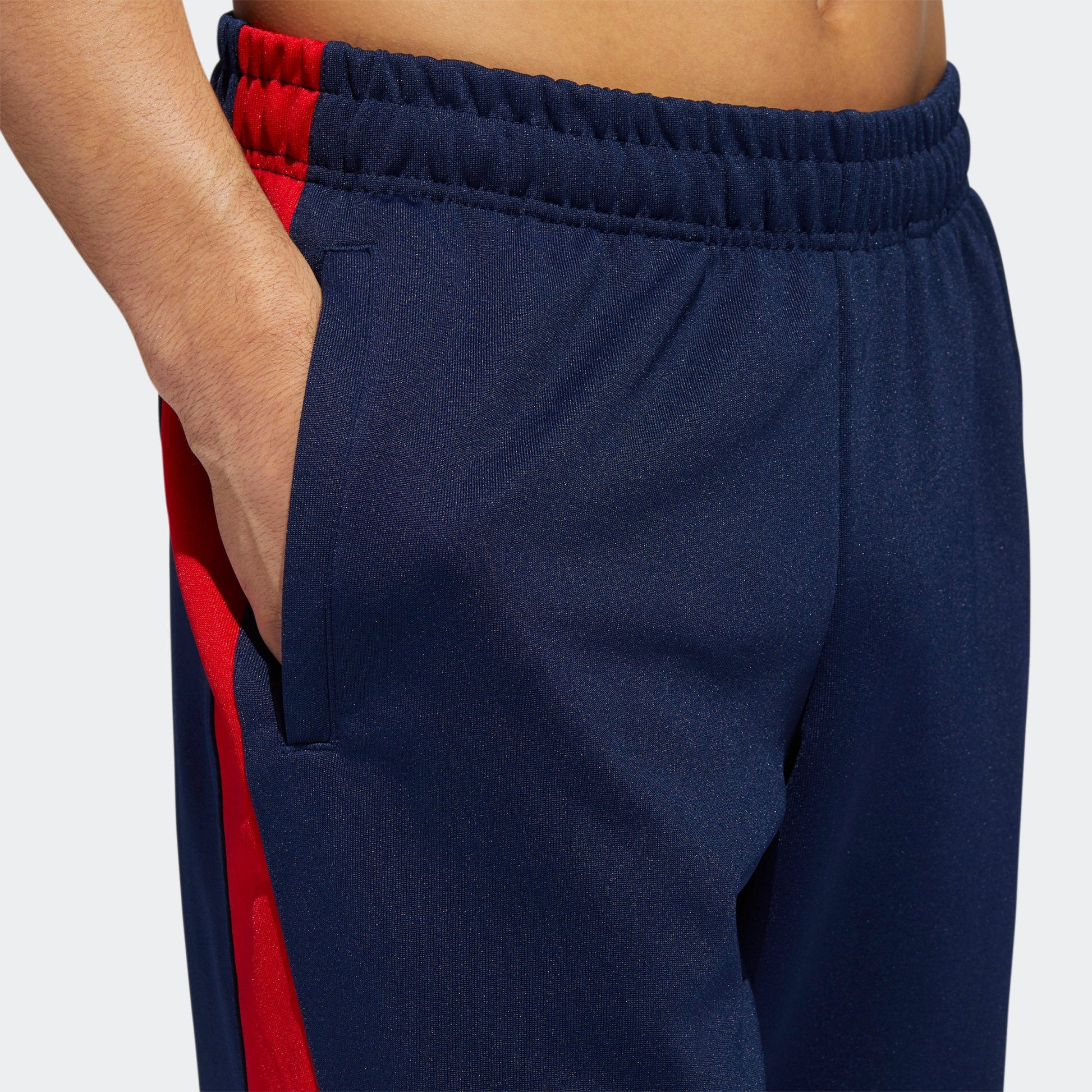 Collegiate Navy/Scarlet-