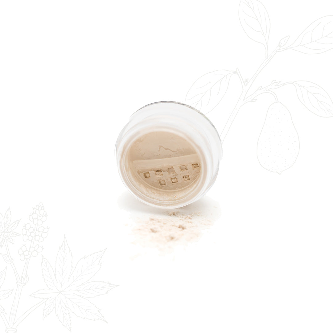 Color Extending Eye Primer Powder Natural Non-Toxic Clean Organic Lauren Brooke