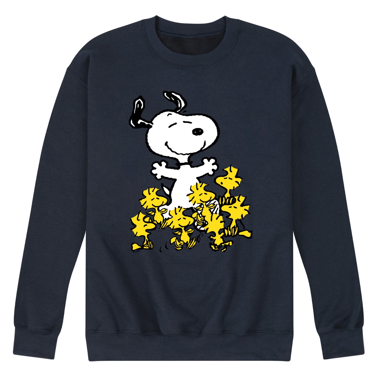 NAVY-