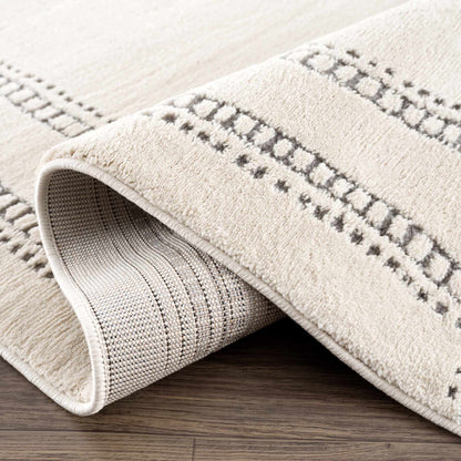 Ryuu Ivory & Gray Area Rug - Promo