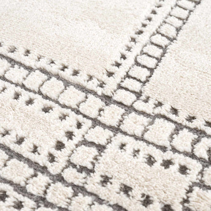 Ryuu Ivory & Gray Area Rug - Promo