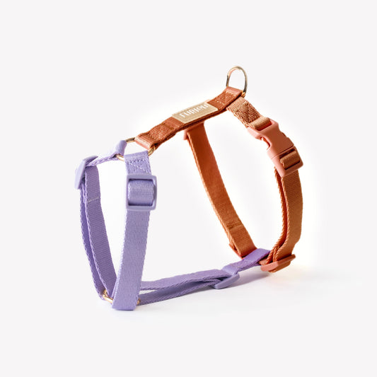 Lavender and Terracotta - Dog Harness