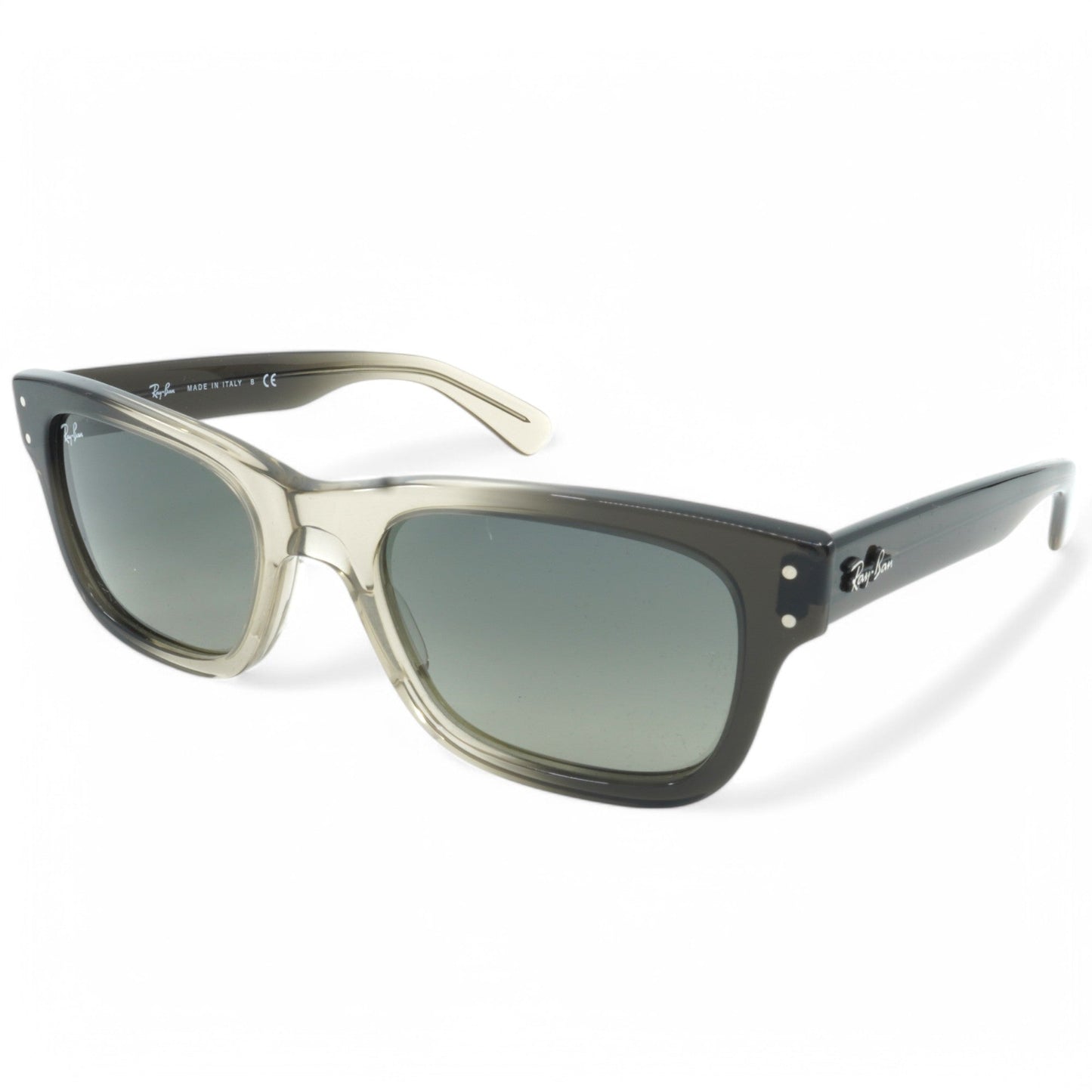 Unisex Ray-Ban Burbank Sunglasses