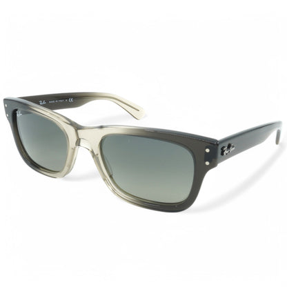 Ray-Ban Burbank Sunglasses