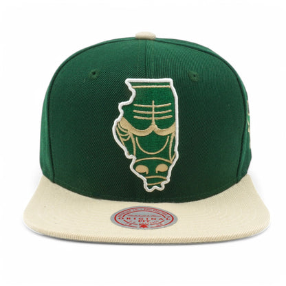 Mitchell & Ness Men's NBA State Outline Snapback Bulls Snapback Caps
