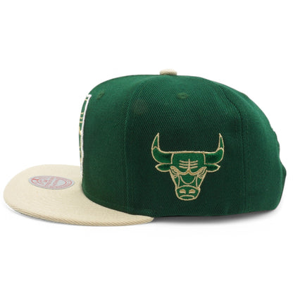 Mitchell & Ness Men's NBA State Outline Snapback Bulls Snapback Caps