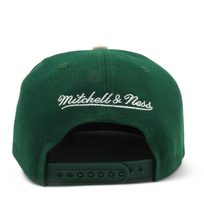 Mitchell & Ness Men's NBA State Outline Snapback Bulls Snapback Caps