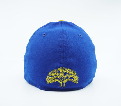 New Era Men's NBA Golden State Warriors The Twon 39Thirty Fitted Hats