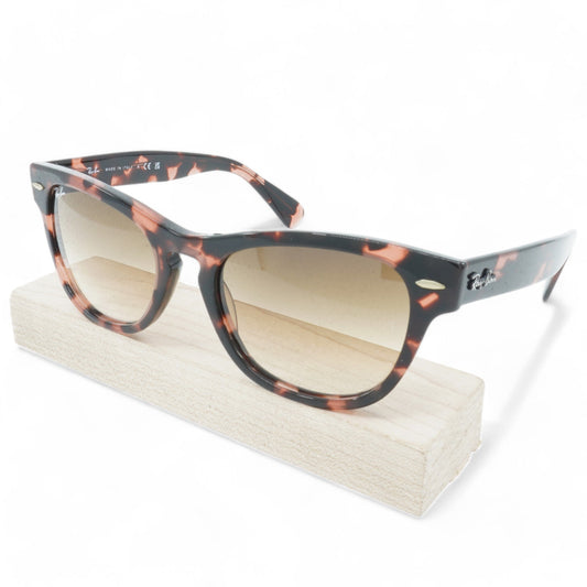 Unisex Ray-Ban Laramie Sunglasses