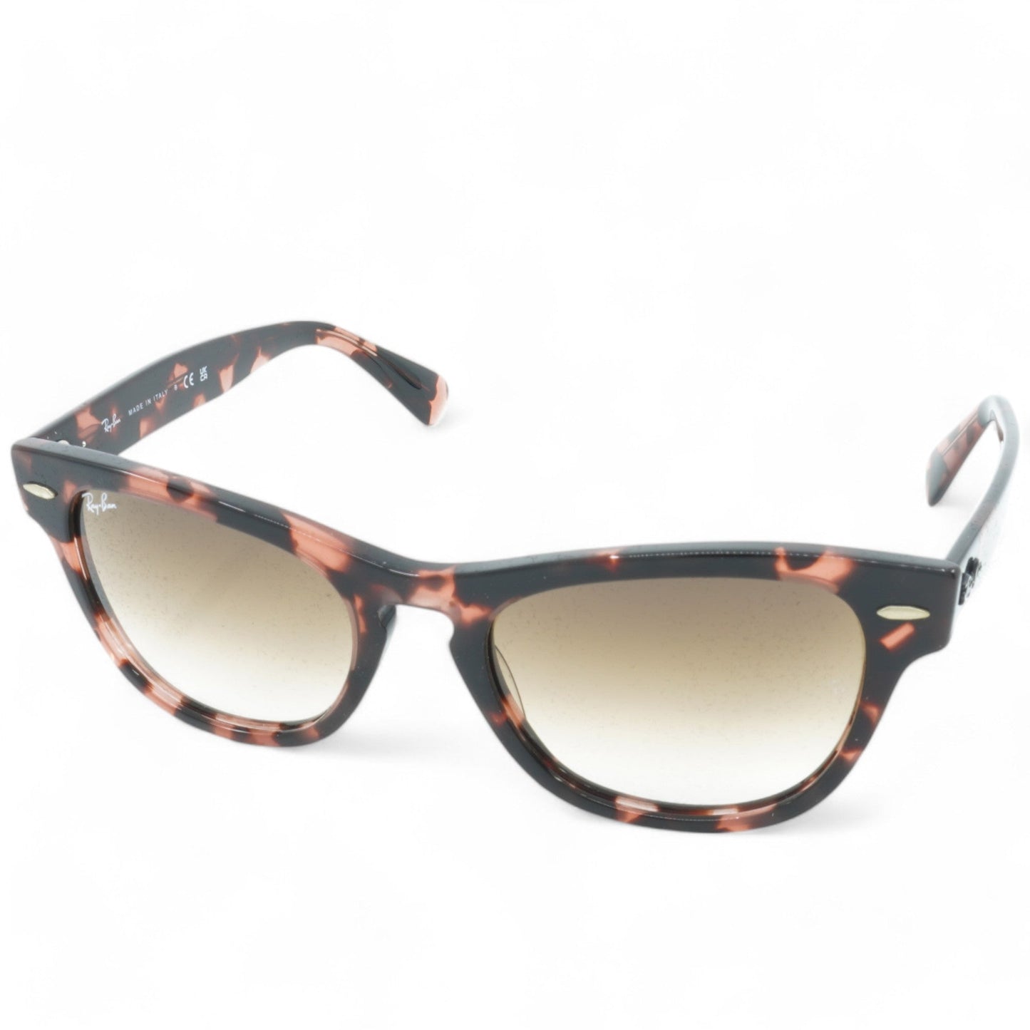 Unisex Ray-Ban Laramie Sunglasses