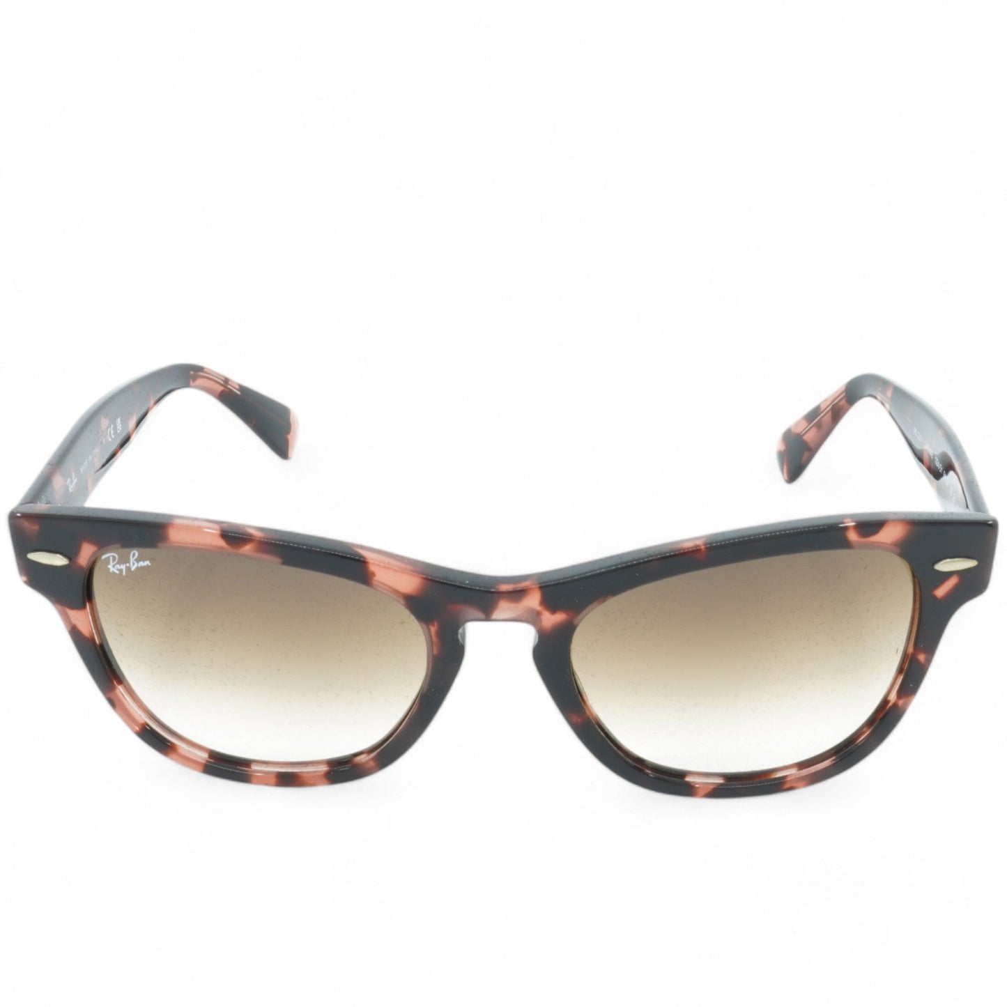 Unisex Ray-Ban Laramie Sunglasses